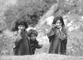 kashmir